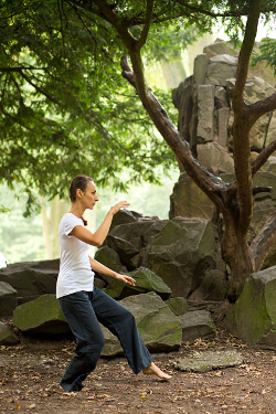 Tai Chi Chuan - 24er Pekingform - das Knie streifen