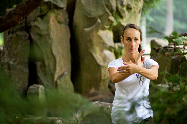 Tai Chi - Teil 24er Pekingform